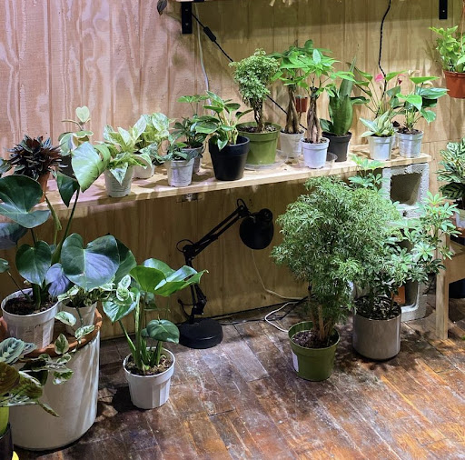 Plants potted with love at the Packing House in Claremont Village