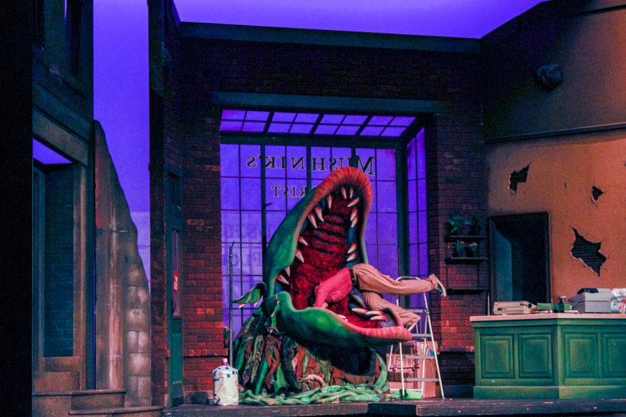 Playing the lead of Seymore, junior Ethan Park jumps into the mouth of Audrey II in Act 2 of the play.