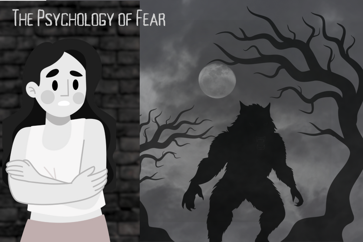 Every human experiences fear, what are you scared of? Graphic made on Canva