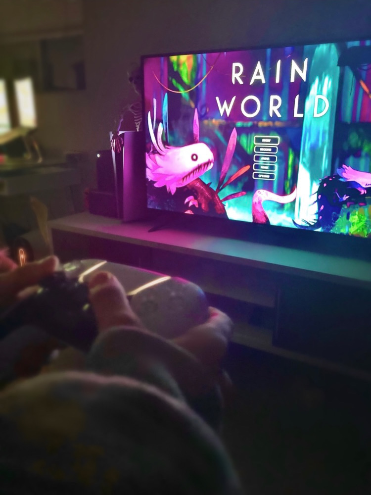 A person is on the starting screen of “Rain World” as they begin to play the game.