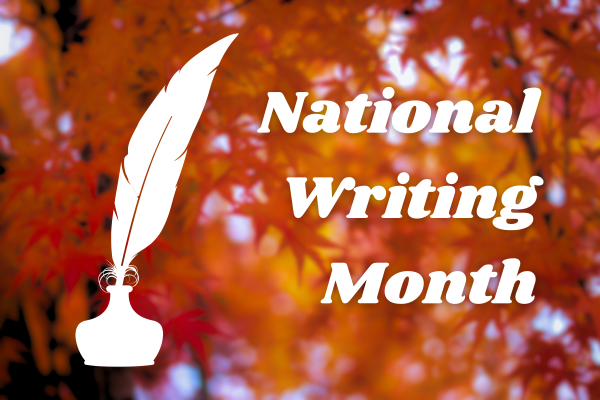 This year marks the 24th anniversary of National Writing Month (NaNoWriMo). 