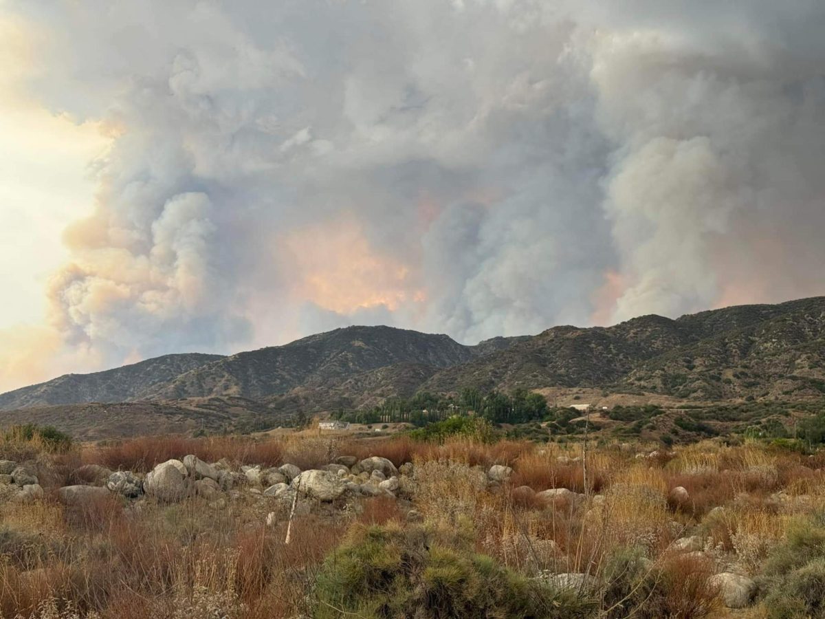 The Line Fire burns to the east of Rancho Cucamonga High School. Photo courtesy: Trisha Simpson.