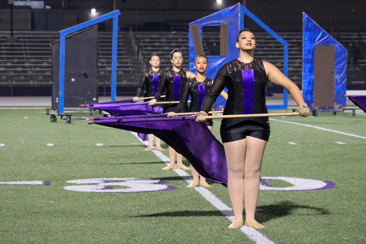 Members in colorguard hold their flags still after tosses.