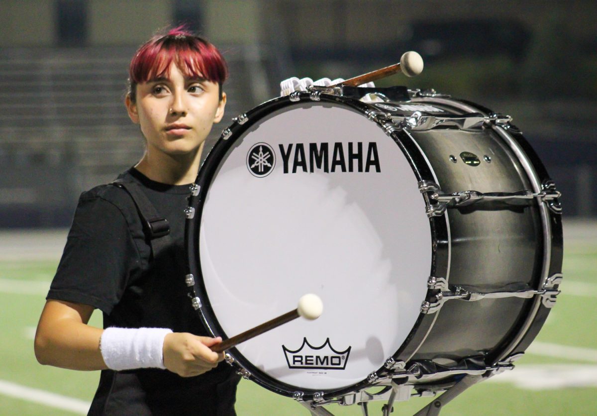 Miranda Brambila plays the bass.