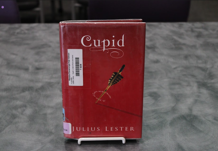 A mythology retelling of Eros & Psyche; Cupid from his mothers orders if forced to make the princess fall in love with a horrible man, so he secretly marries her. -Caption by Jessica Simpson 