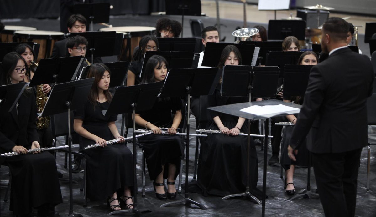 Ana conducts for concert band.