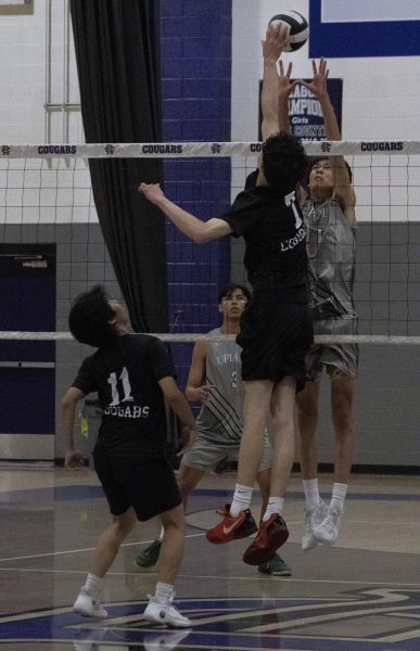 Senior Jackson Fuentes leaps into the air to hit the ball over the net while senior Samuel Son readies himself for any side action. 
