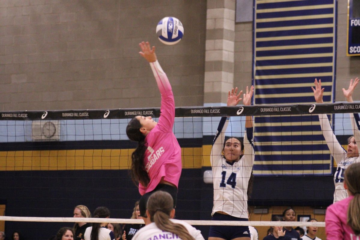 Senior Emily Smith hits the ball through the gap in the block
