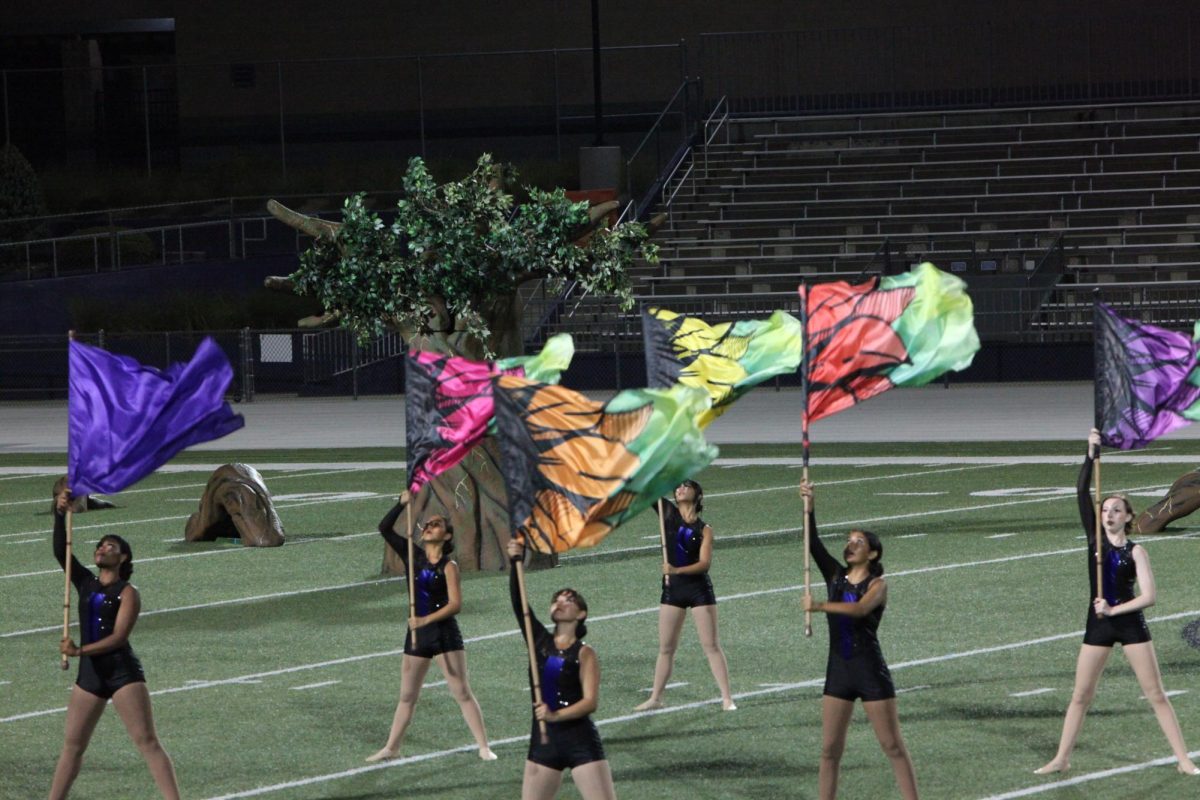 Members of color guard hold up their flags during their visual demonstration.