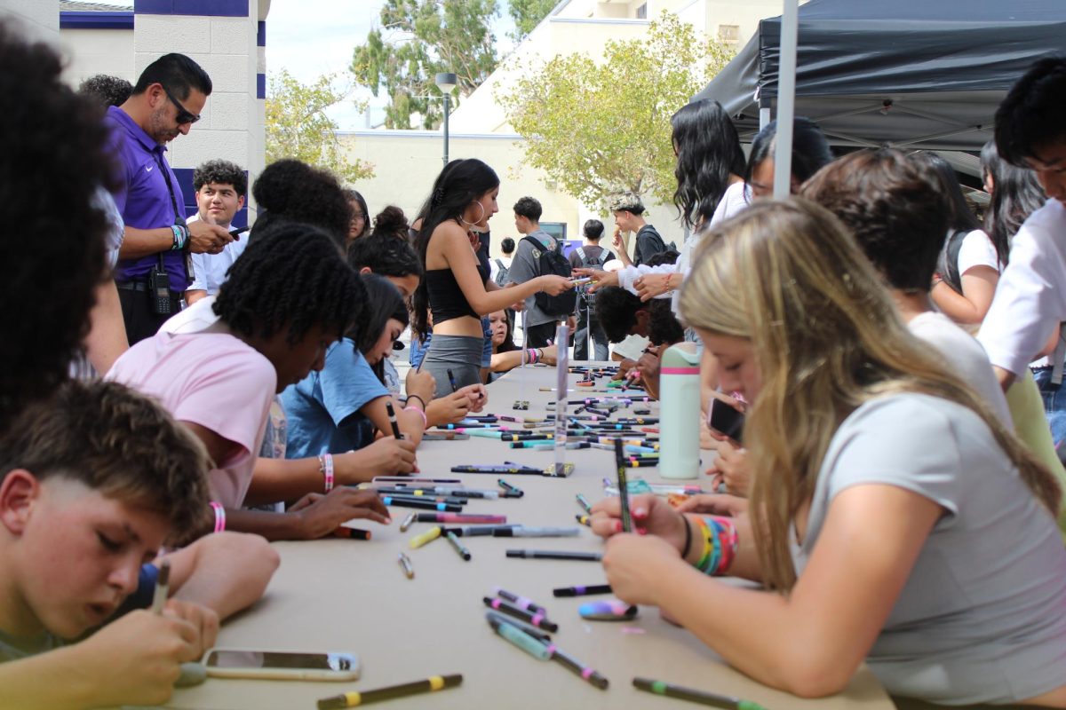 RCHS students painting rocks during SAP week