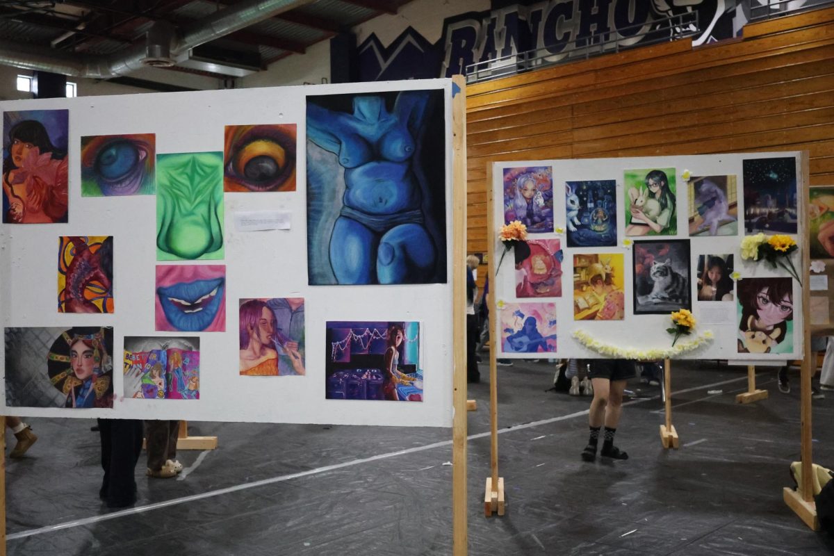 Two art stand displayed by the art class for Rancho Palooza.